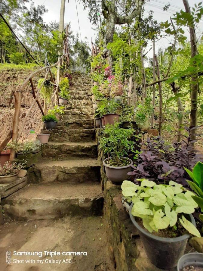 Biwon Homestay Элла Экстерьер фото